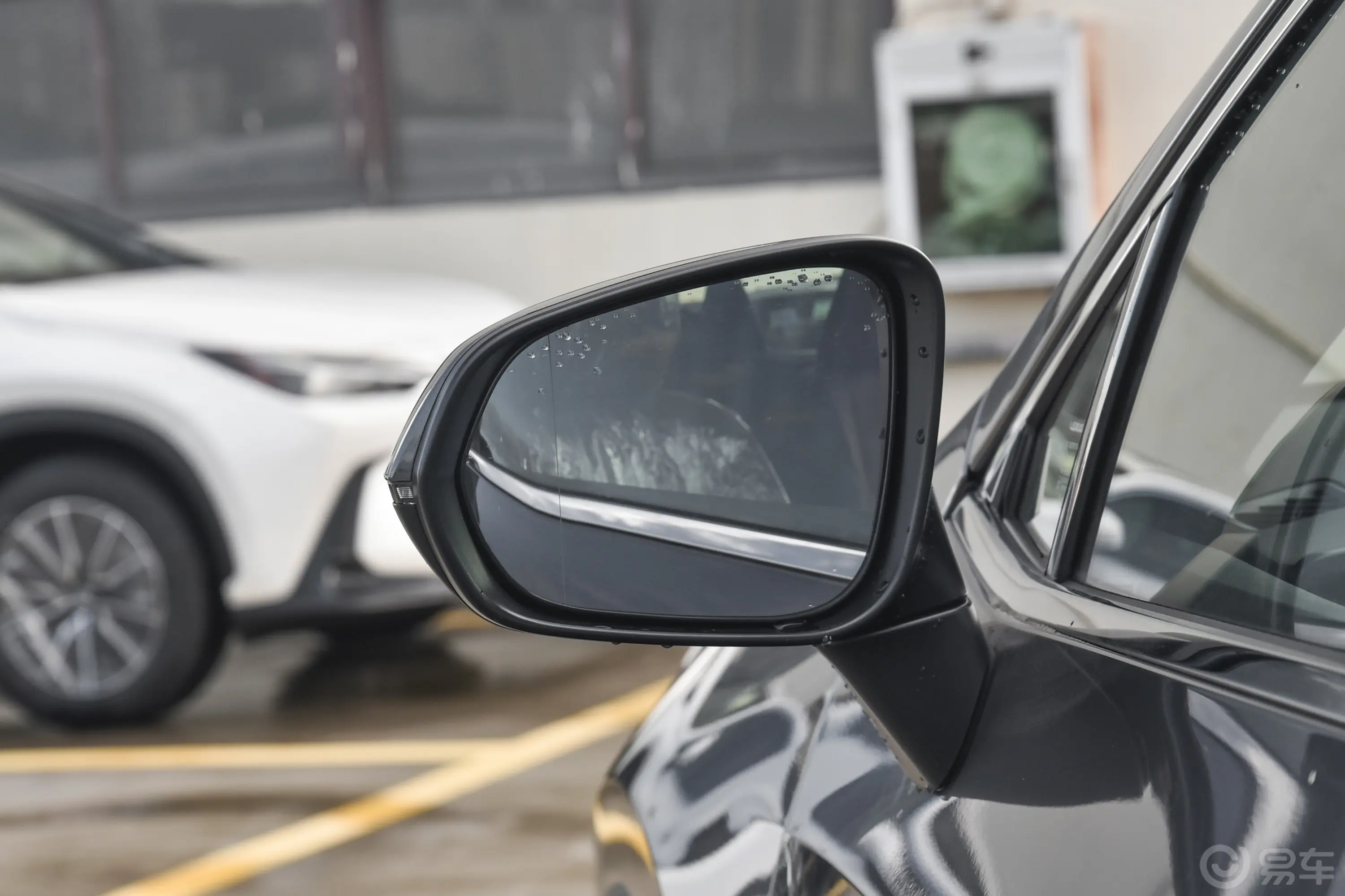雷克萨斯NX260 两驱创驰版后视镜镜面