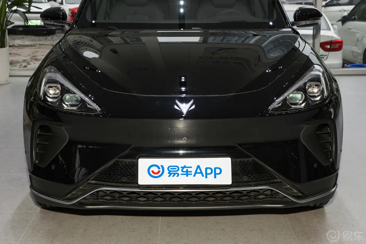 极狐 阿尔法T森林版PRO 600D 电机320kW 北电爱思特外观细节