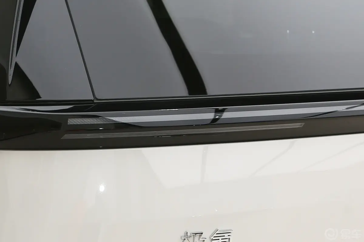 ZEEKR MIX550km 智驾版外观灯组