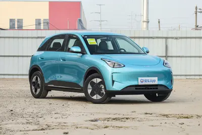 2025款 星愿 310km 梦想版外观