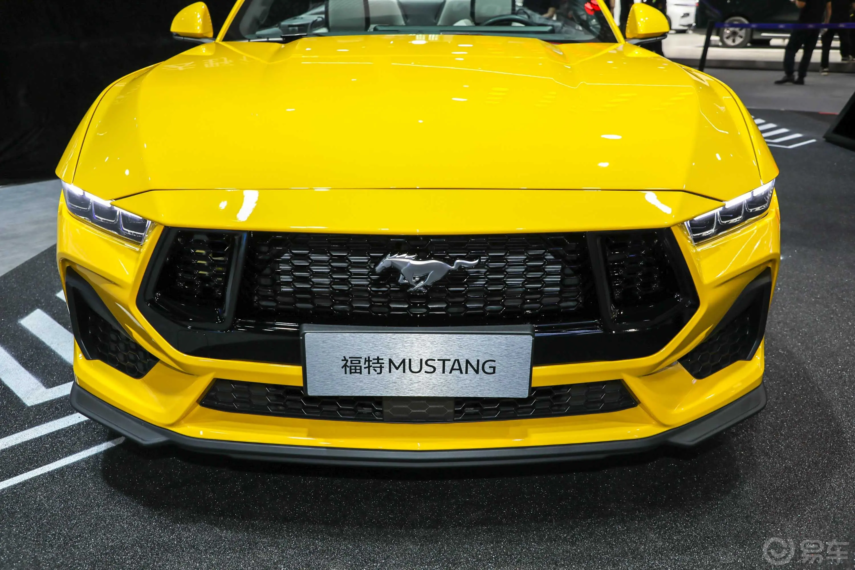Mustang