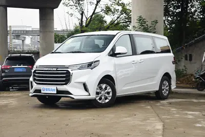 2025款 大通G10 2.0L 手动多功能版 汽油 7座外观