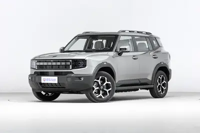 2024款 山海T1 1.5T 150km 前驱向湖版外观