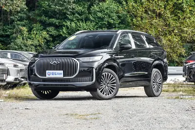 2025款 瑞虎9 2.0T 自动四驱臻享版 7座外观