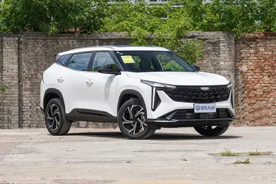 2024款 博越 1.5T 龙腾版外观