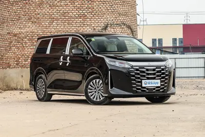 2025款 夏 DM-i 1.5T 100km 领先型外观