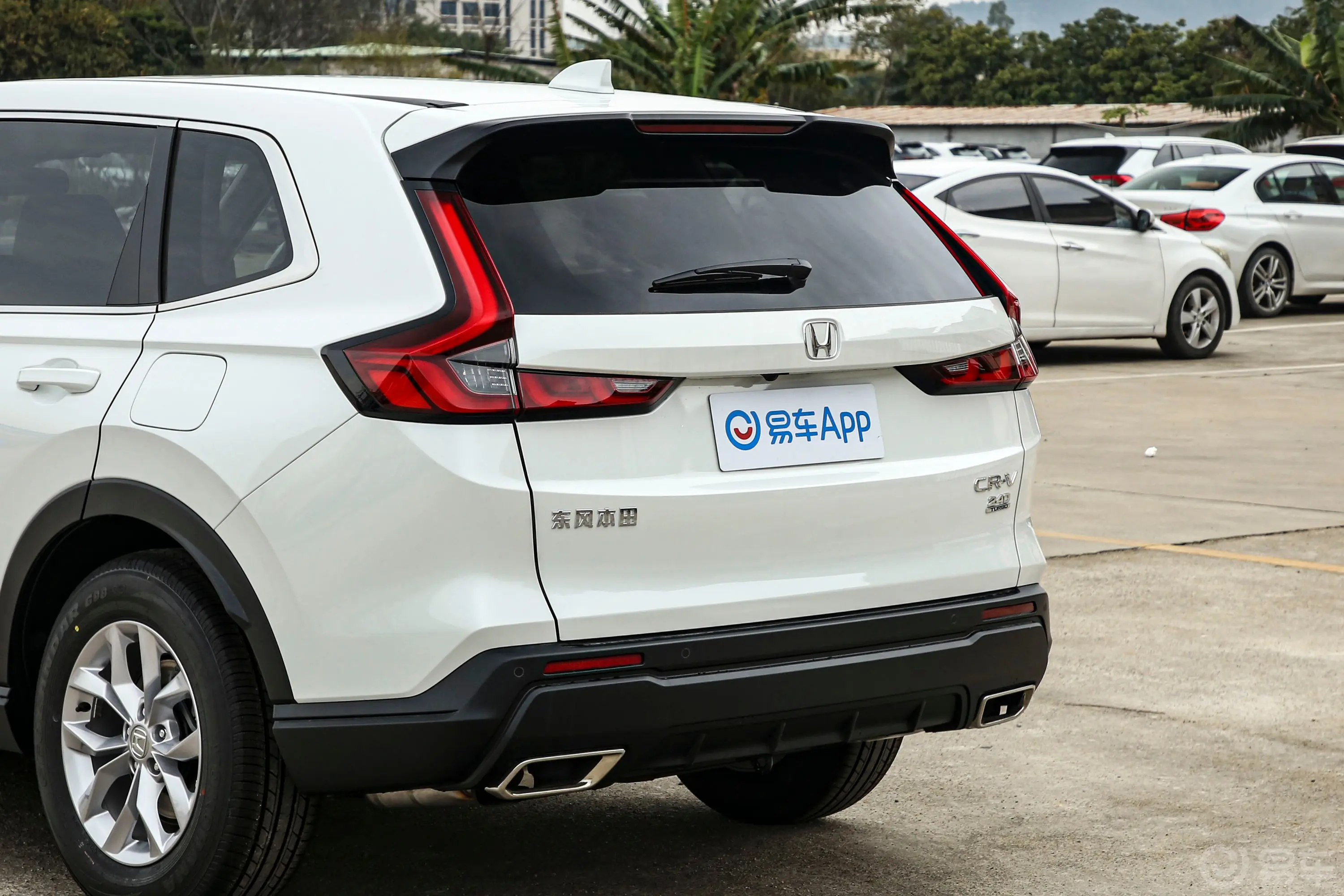 本田CR-V240TURBO 两驱锋尚版 5座车尾特写