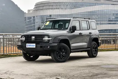 2025款 坦克300 2.4T 标准版 柴油外观