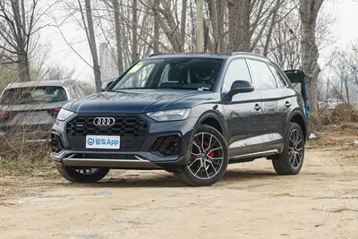 2025款 奥迪Q5L quattro 45周年典藏版 45 TFSI 豪华动感型外观