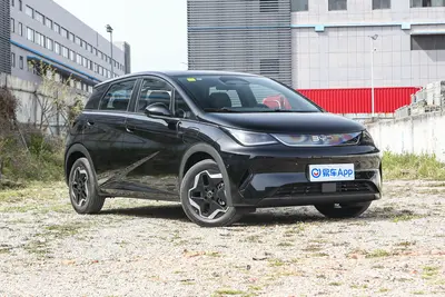 2025款 海豚 智驾版 420km 自由版外观