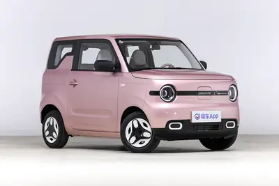 2025款 熊猫 熊猫mini 210km 元气熊外观