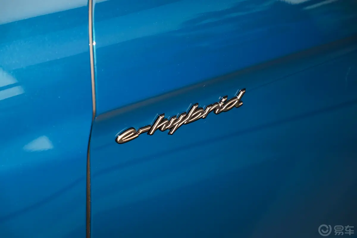 Panamera E-HybridPanamera Turbo 4.0T驾驶员侧后门把手