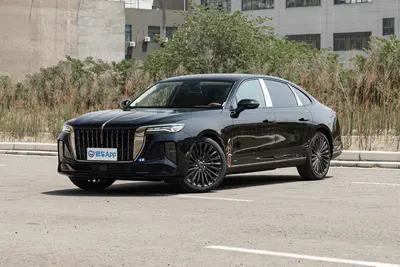 2025款 红旗H9 2.0T 两驱旗享私享风尚版 5座外观
