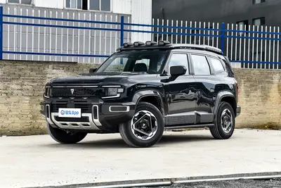 2025款 深蓝G318 无忧穿越版 190km 后驱旷野版外观