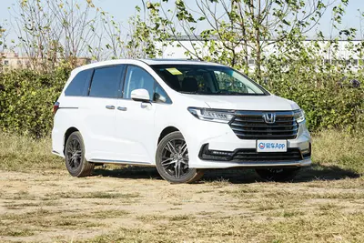 2026款 奥德赛 2.0L 锐·耀享版外观