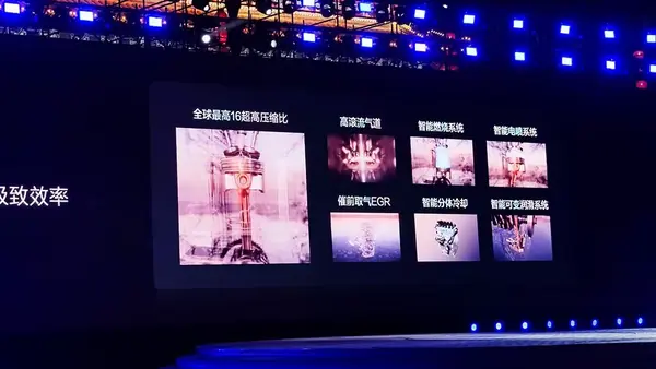 微信图片_20240711152152